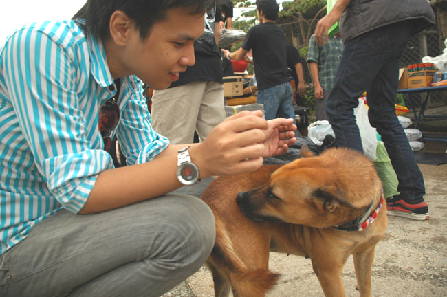 Name:  45.jpg
Views: 986
Size:  113.0 KB