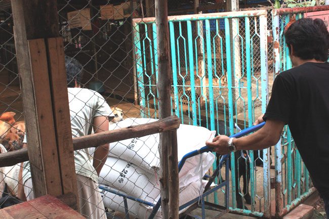 Name:  62.jpg
Views: 337
Size:  141.9 KB