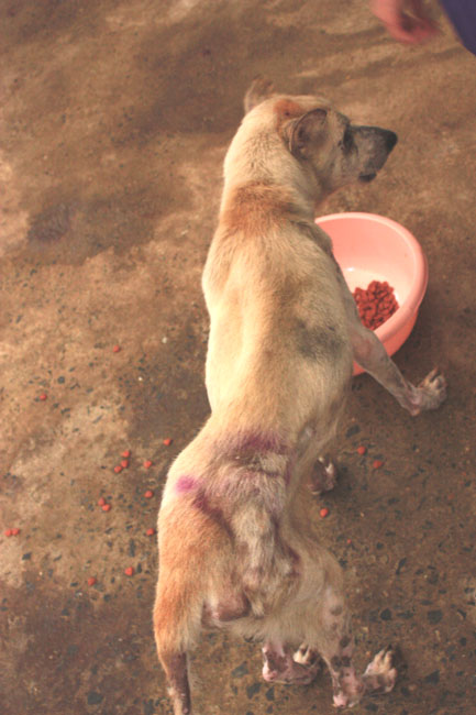 Name:  66.jpg
Views: 375
Size:  93.5 KB