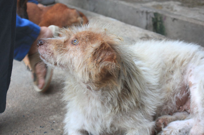 Name:  67.jpg
Views: 372
Size:  84.9 KB