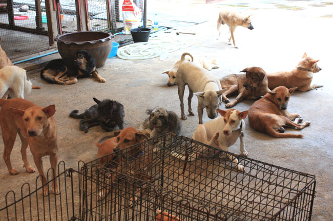 Name:  70.jpg
Views: 364
Size:  125.7 KB