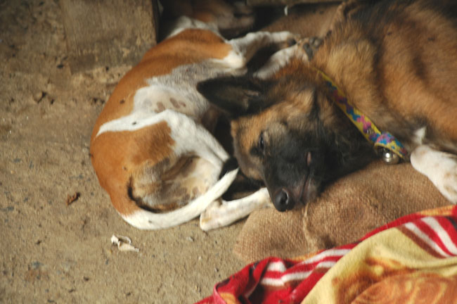 Name:  72.jpg
Views: 329
Size:  95.4 KB