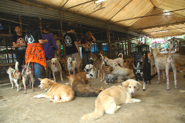 Name:  73.jpg
Views: 332
Size:  118.4 KB