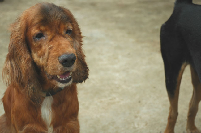 Name:  74.jpg
Views: 317
Size:  69.7 KB