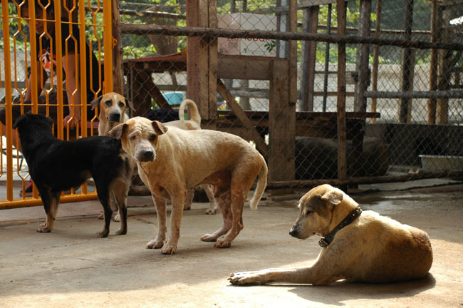 Name:  75.jpg
Views: 321
Size:  120.1 KB