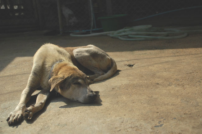 Name:  78.jpg
Views: 323
Size:  78.9 KB