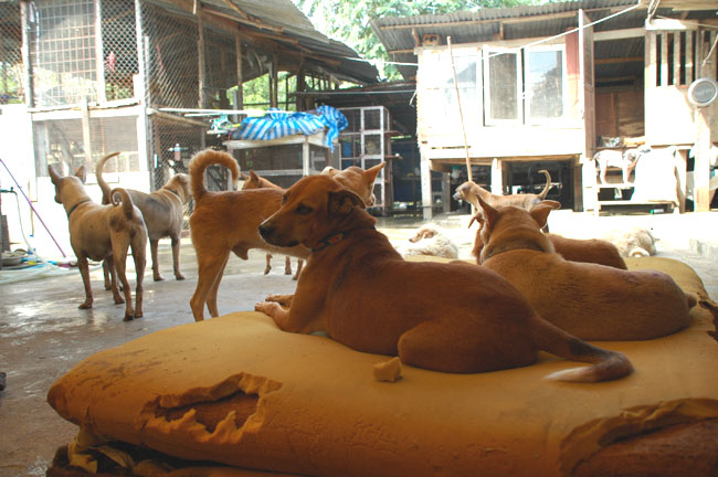 Name:  80.jpg
Views: 318
Size:  113.6 KB