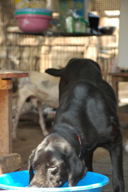 Name:  81.jpg
Views: 321
Size:  82.5 KB