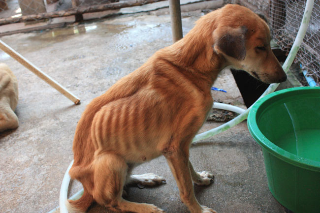 Name:  83.jpg
Views: 363
Size:  106.3 KB