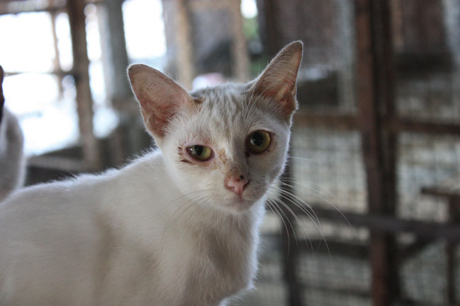 Name:  84.jpg
Views: 353
Size:  70.9 KB