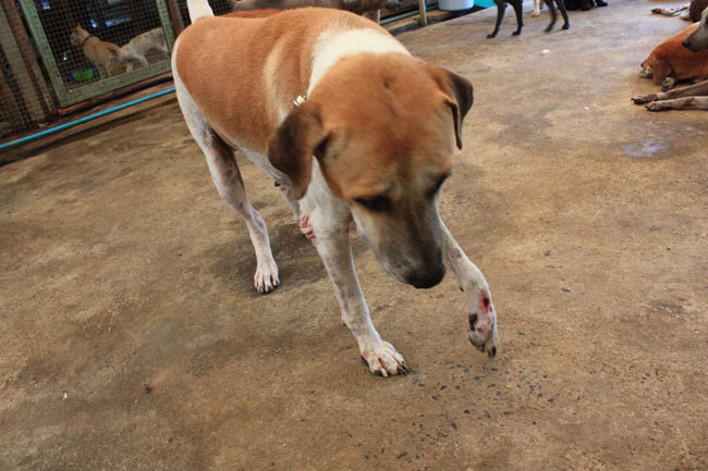 Name:  87.jpg
Views: 318
Size:  109.1 KB