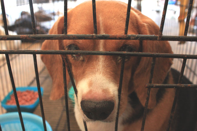 Name:  88.jpg
Views: 349
Size:  91.8 KB