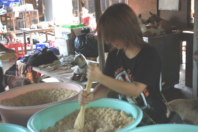 Name:  93.jpg
Views: 275
Size:  96.1 KB