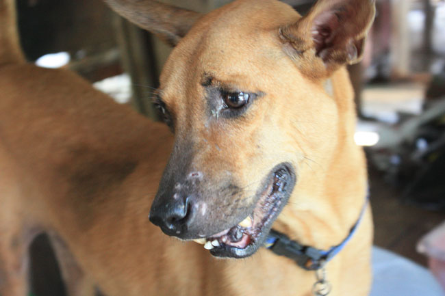 Name:  111.jpg
Views: 229
Size:  78.1 KB