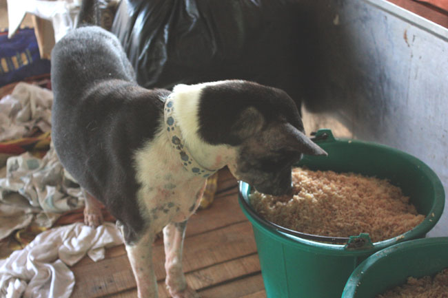 Name:  112.jpg
Views: 227
Size:  85.2 KB