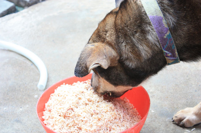 Name:  113.jpg
Views: 265
Size:  99.9 KB