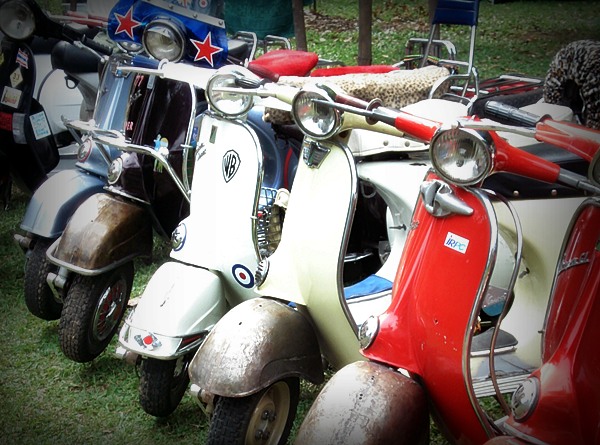 Name:  DSC06788.JPG
Views: 157
Size:  108.1 KB