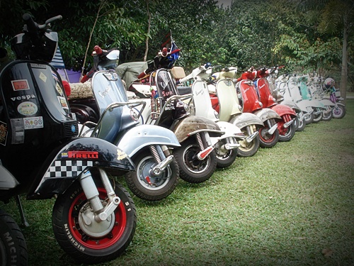 Name:  DSC06791.JPG
Views: 149
Size:  127.2 KB