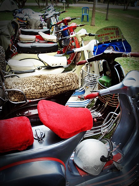 Name:  DSC06779.JPG
Views: 155
Size:  119.2 KB