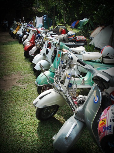 Name:  DSC06785.JPG
Views: 158
Size:  115.9 KB