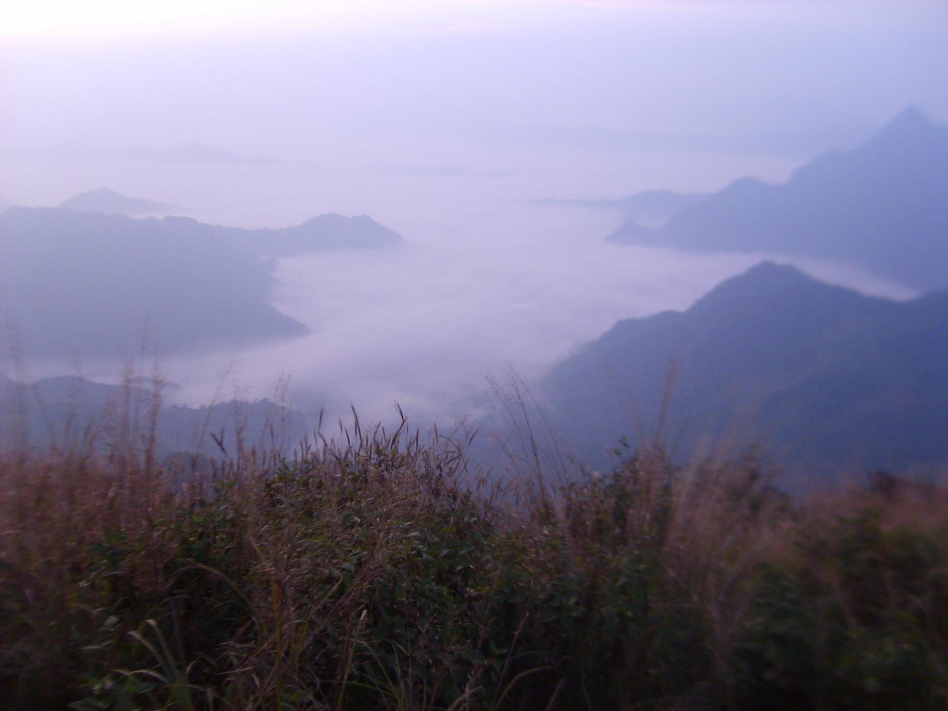 Name:  S5002183.jpg
Views: 276
Size:  132.4 KB