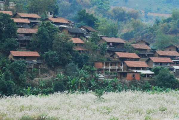 Name:  DSC_6501.jpg
Views: 1294
Size:  121.5 KB