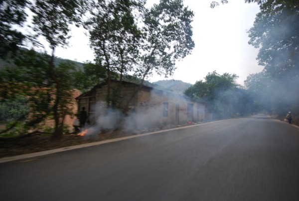 Name:  DSC_6468.jpg
Views: 1289
Size:  96.9 KB