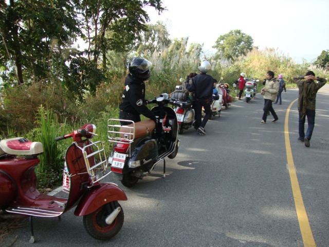 Name:  DSC01401.JPG
Views: 704
Size:  136.9 KB