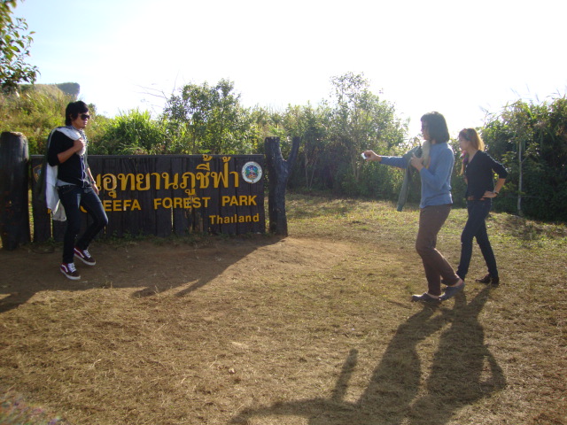Name:  DSC01439.JPG
Views: 732
Size:  141.1 KB