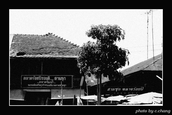 Name:  supha1[2].jpg
Views: 505
Size:  51.4 KB