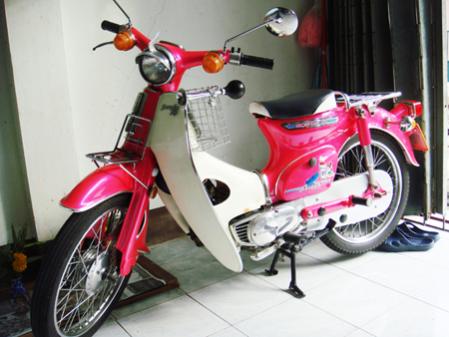 Name:  ด่าง.jpg
Views: 7162
Size:  27.4 KB