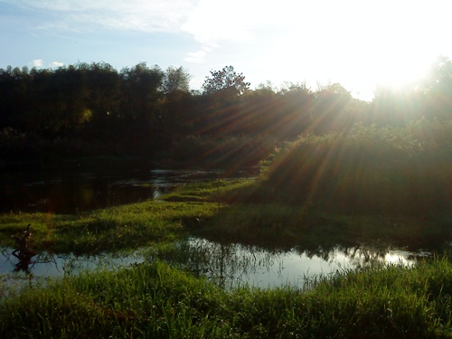 Name:  DSC01505.JPG
Views: 499
Size:  75.5 KB