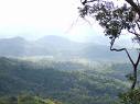 Name:  images1.jpg
Views: 481
Size:  2.7 KB