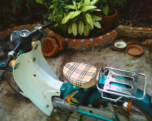 Name:  PIC00161 (Small).jpg
Views: 428
Size:  54.6 KB