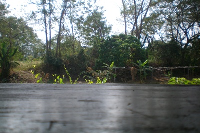 Name:  100_0087.jpg
Views: 504
Size:  59.4 KB
