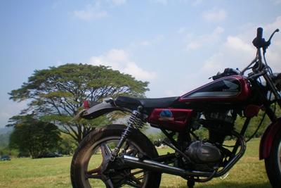 Name:  100_0094.jpg
Views: 491
Size:  49.6 KB