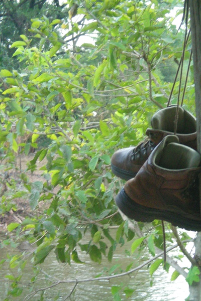 Name:  100_0115.jpg
Views: 483
Size:  134.2 KB