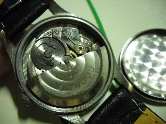 Name:  DSCN0727.jpg
Views: 2303
Size:  42.7 KB