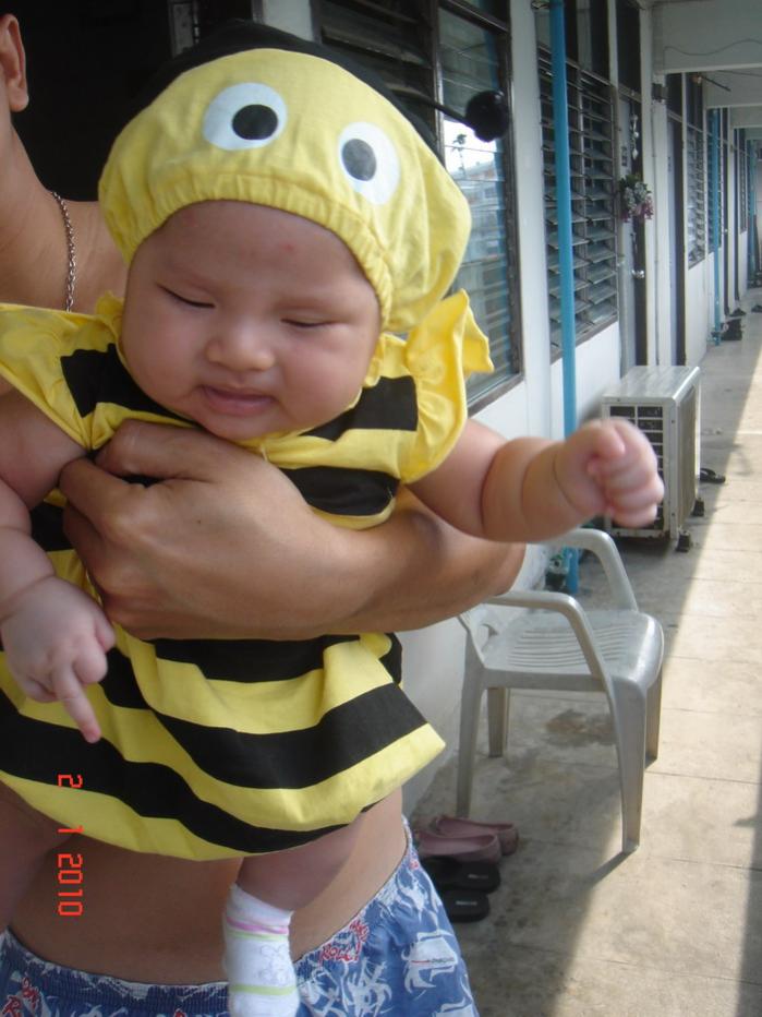 Name:  DSC097599.jpg
Views: 94
Size:  75.0 KB