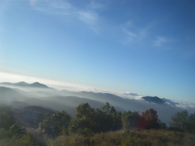 Name:  14.jpg
Views: 137
Size:  27.4 KB