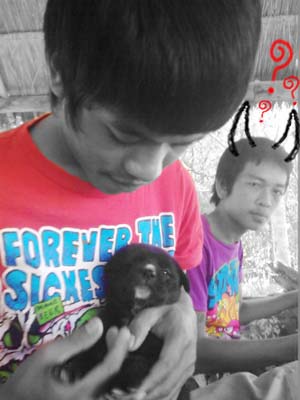 Name:  PANGZ ))34071.jpg
Views: 501
Size:  37.9 KB