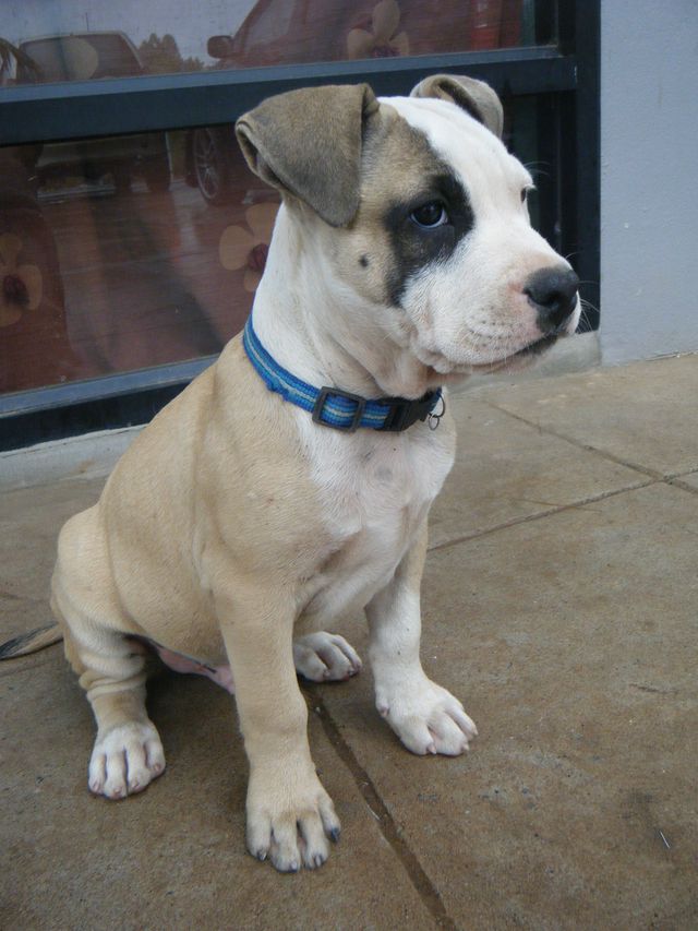 Name:  DSCF005254.jpg
Views: 600
Size:  86.5 KB