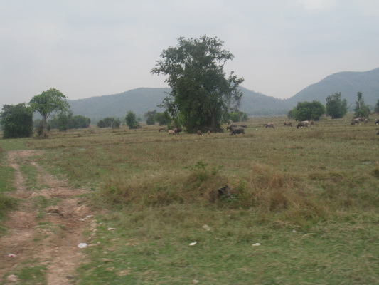Name:  IMG_0709.JPG
Views: 246
Size:  75.1 KB