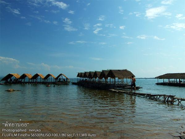 Name:  DSCF4731r.jpg
Views: 10526
Size:  35.2 KB
