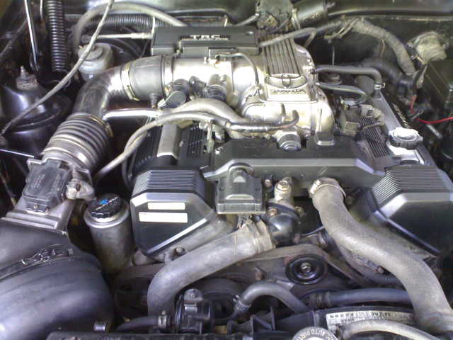 Name:  03012010029.jpg
Views: 1020
Size:  50.5 KB