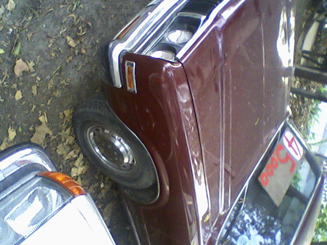 Name:  Photo-0077.jpg
Views: 1269
Size:  101.6 KB