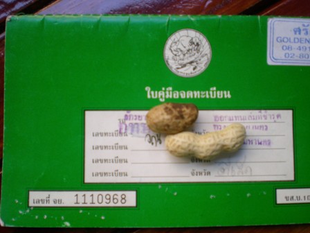 Name:  DSCN67241.jpg
Views: 160
Size:  39.7 KB