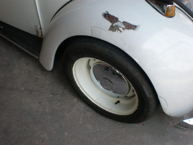 Name:  P1270274.JPG
Views: 310
Size:  75.3 KB