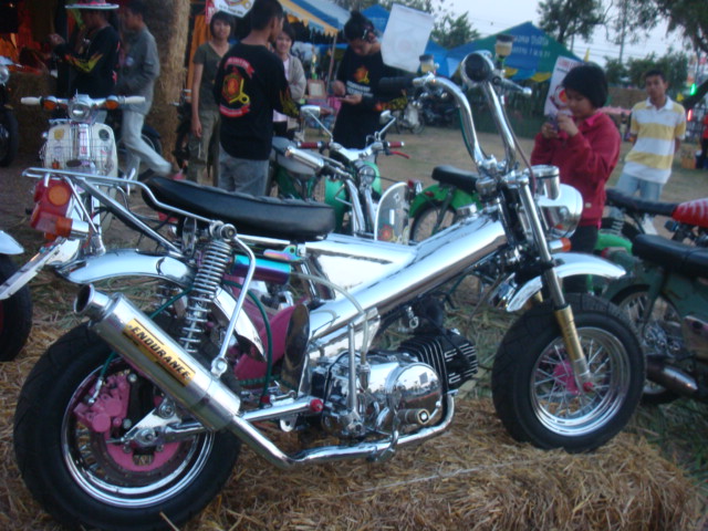 Name:  DSC00013.JPG
Views: 390
Size:  129.7 KB
