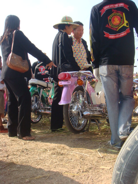 Name:  DSC09954.JPG
Views: 385
Size:  109.0 KB
